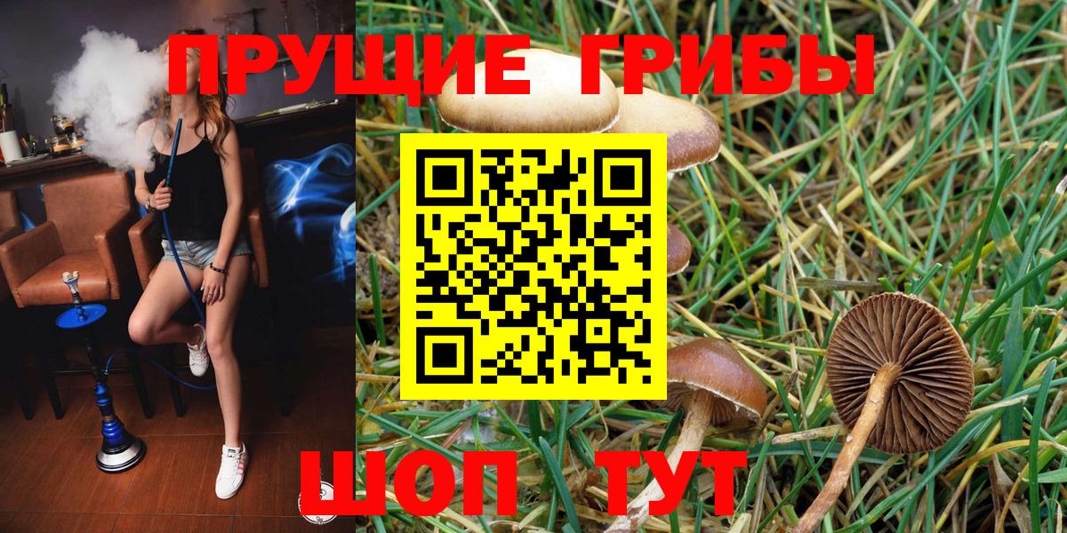 цены   Вход с VPN  Каспийск  Галлюциногенные грибы GOLDEN TEACHER 