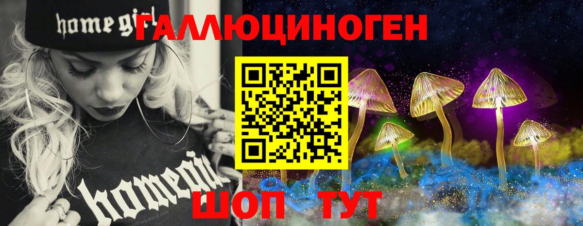 Галлюциногенные грибы Psilocybine cubensis Каспийск
